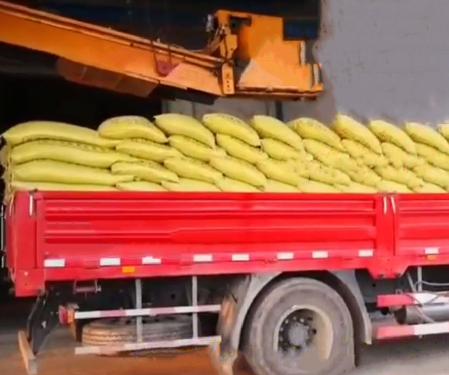 自动装车机 码垛装车机 第1张